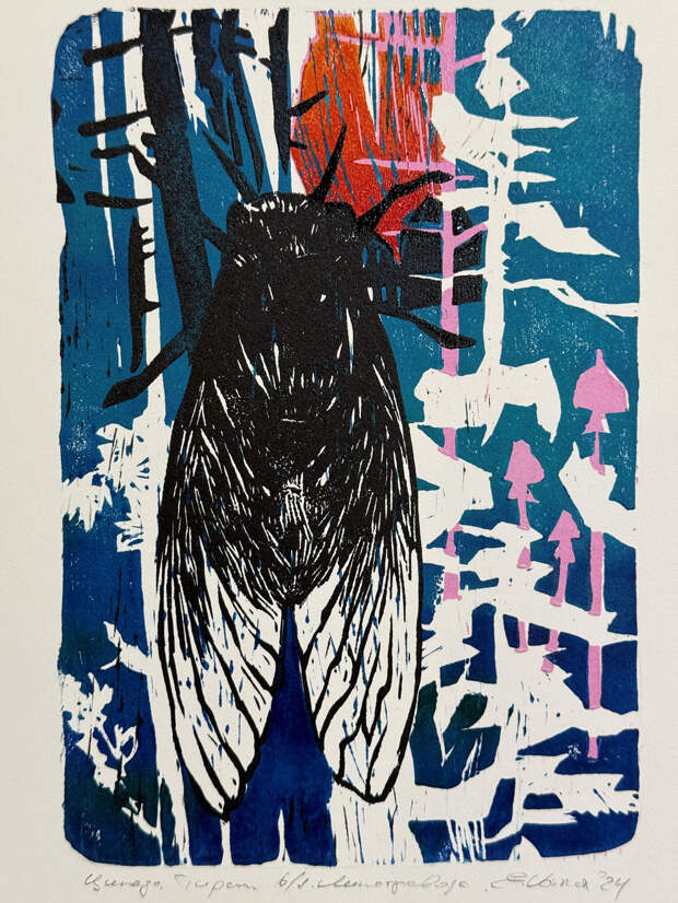 Евгения Войнар, «Цикада»