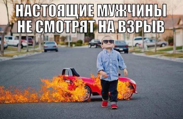 Прикольные картинки