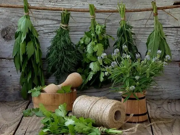 12 магических трав от 12 бед.