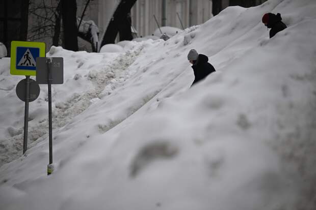Пропавшего в Подмосковье 11-летнего школьника насмерть завалило снегом