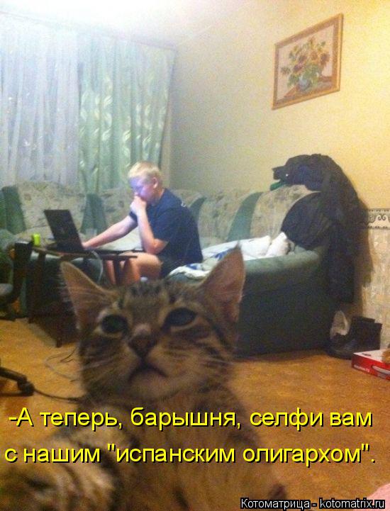 Котоматрица: -А теперь, барышня, селфи вам с нашим "испанским олигархом".