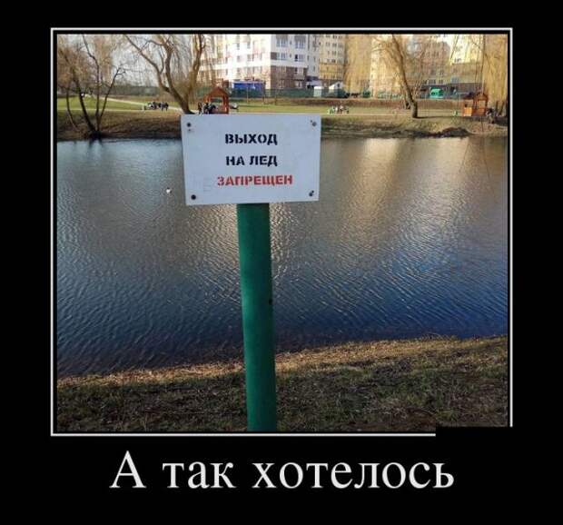 Демотиваторы (30 фото)