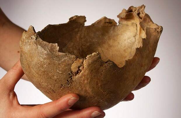 Часть человеческого черепа, обработанная для использования в качестве чаши 