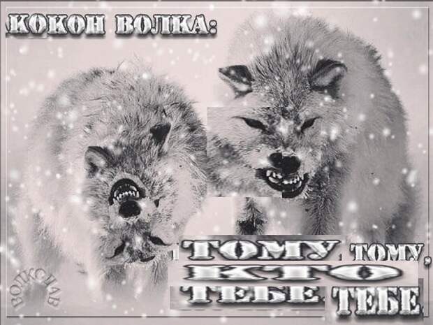 www.vsyako.net
