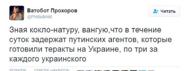 28288acadeba.jpg