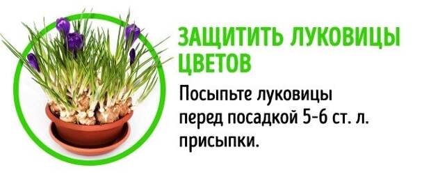 14 способов использования детской присыпки