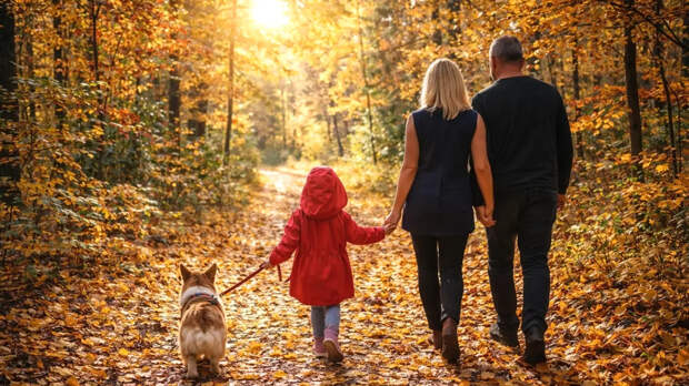 Репутация против рекламы: Критерии выбора застройщика – как сделать правильный выбор?