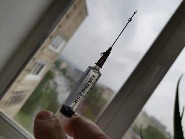 Вакцины поступили, но куда? Жители Поморья не могут сделать прививку от клещевого энцефалита