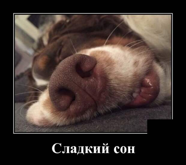 Свежие и прикольные демотиваторы для вечернего настроения