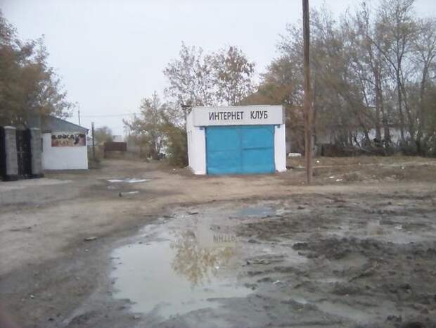 Приколы