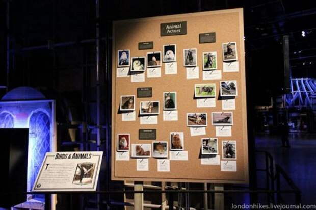 Интересные факты о съёмках фильмов о Гарри Поттере (31 фото)