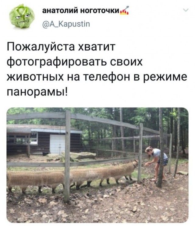 kartinok-interesnyh-prikolnyh-kartinki-smeshnye-kartinki-fotoprikoly