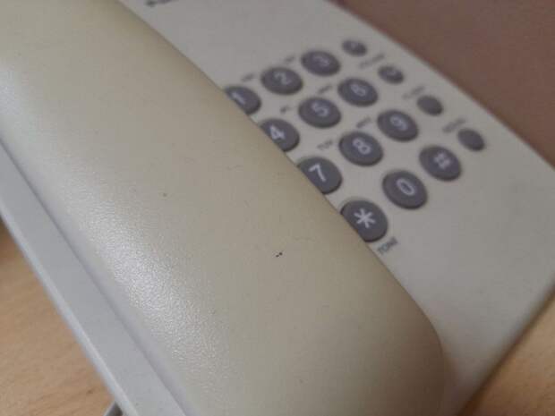 Трое владивостокцев получили сроки после того, как на них донесли бдительные граждане