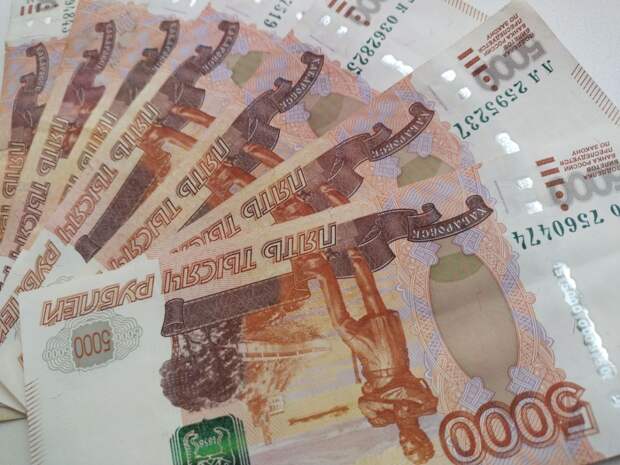 В Тульской области оштрафовали женщину за махинации с земельным участком