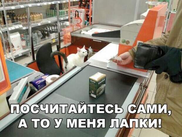 Анекдоты четверга (14 шт)