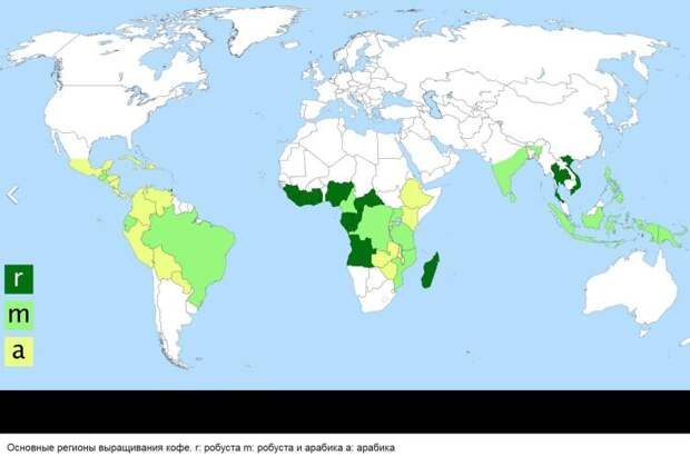 География выращивания кофе в мире. Увы, на либерику и другие сорта внимание решили не обращать.