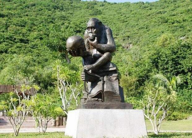 Заповедник, расположенный на полуострове, входящий в состав острова Хайнань имеет название Остров Обезьян.