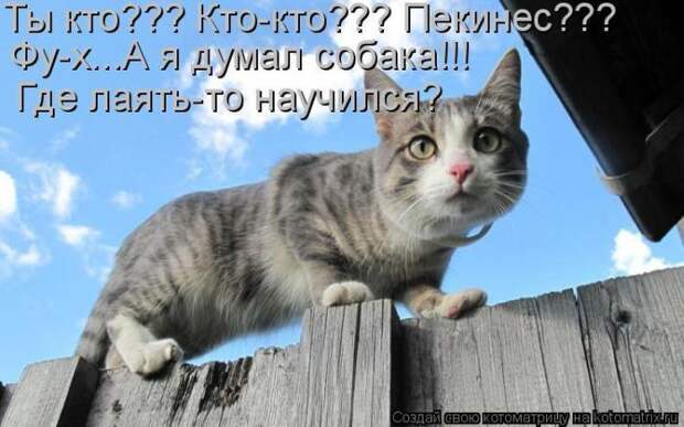 Мысли вслух :)