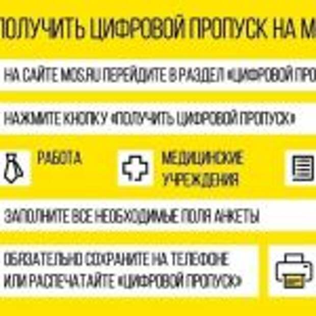 Оформить цифровой пропуск для передвижения по Москве на личном или общественном транспорте горожане могут на портале mos.ru. Фото: https://телеграм.net