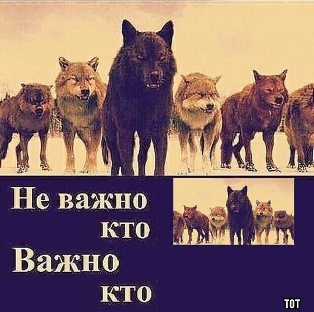 www.vsyako.net