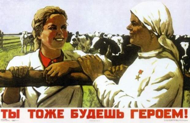 Картинки по запросу я и лошадь я и бык