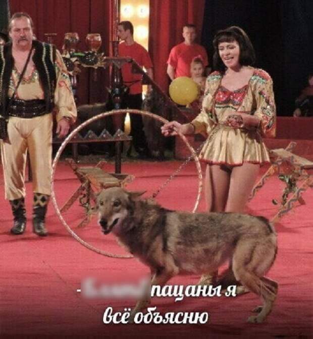 www.vsyako.net