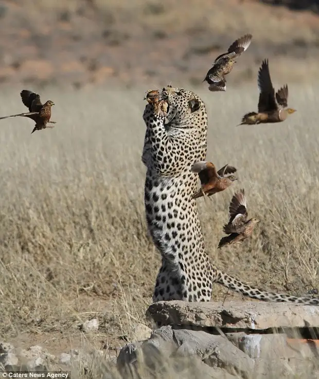 :     4 - BigPicture.ru