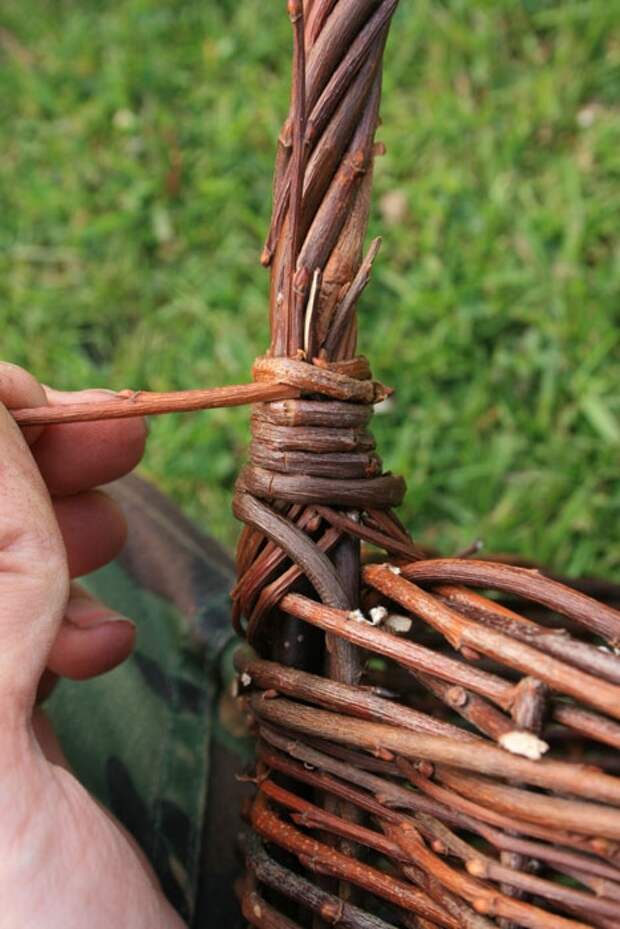 Как сплести корзинку из ивовых прутьев. Мастер-класс (26) (467x700, 204Kb)