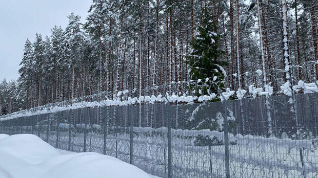 Финляндия завершит строительство забора на границе с Россией этой осенью