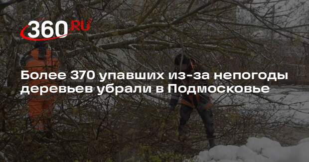 Более 370 упавших из-за непогоды деревьев убрали в Подмосковье