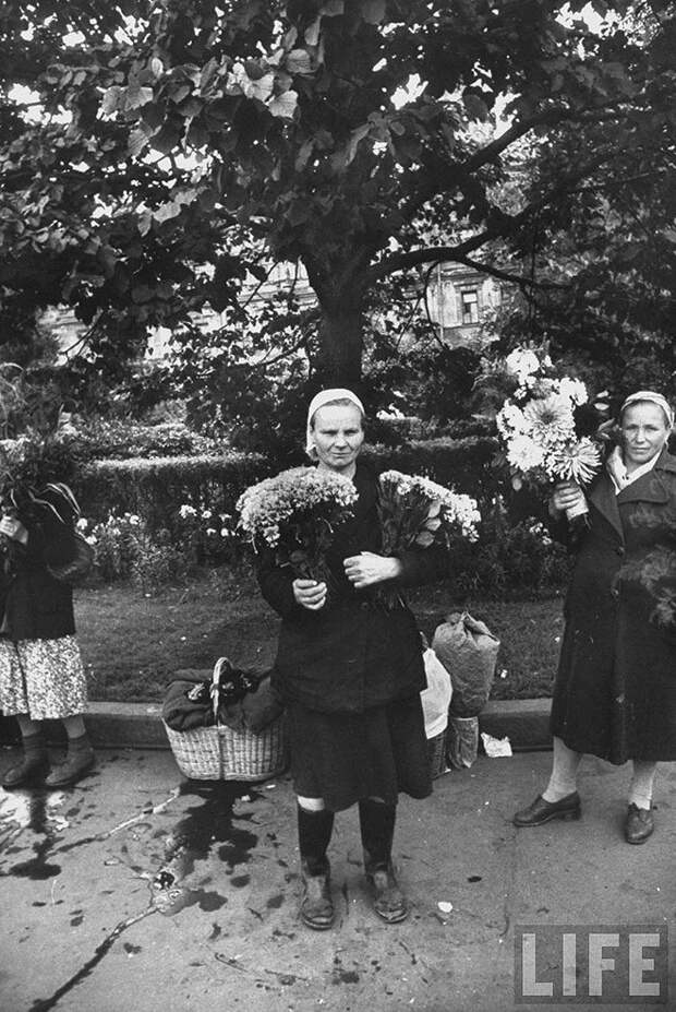 ByLarsen22 Москвички в 1956 году
