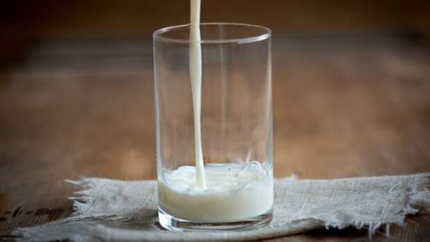 Какое молоко бывает в природе? Пять удивительных фактов.