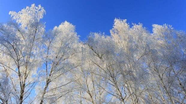 До -16. О погоде в Барнауле 20 января