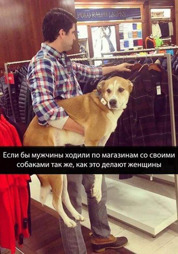 Прикольные фотомемы (28 шт)