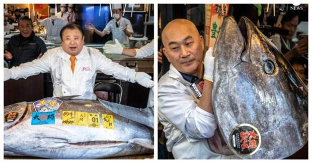Гигантского тунца продали по рекордной цене на рынке в Японии