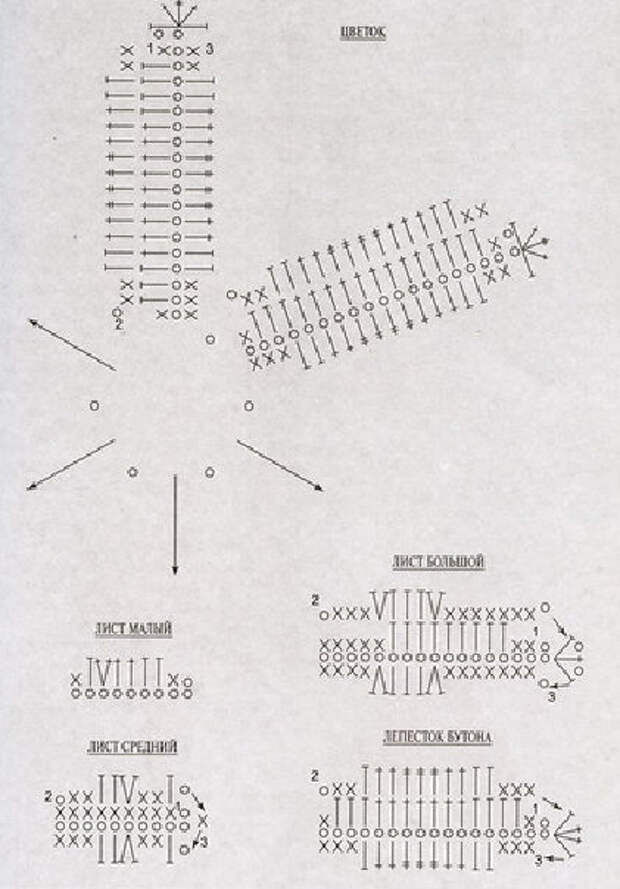 Как связать лилию крючком схемы