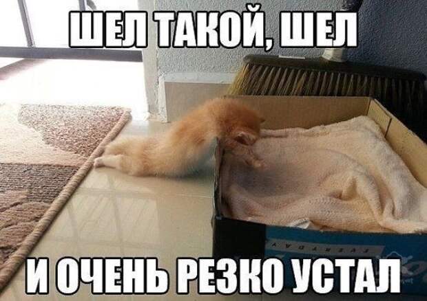 Анекдоты Анекдоты