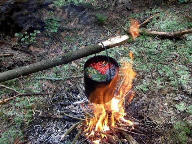 Как без фильтра очистить воду из-под крана