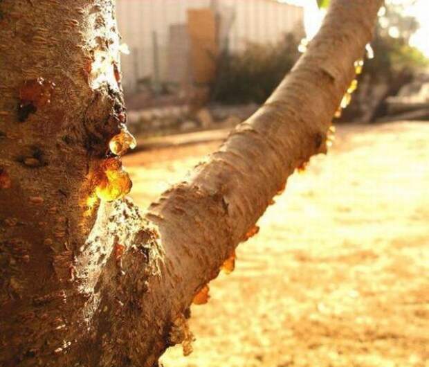 Вкус Детства! Вкус Детства! детсво, вкус, ностальгия