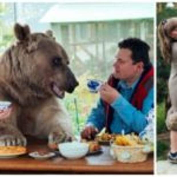 Медведь живет в обычной семье