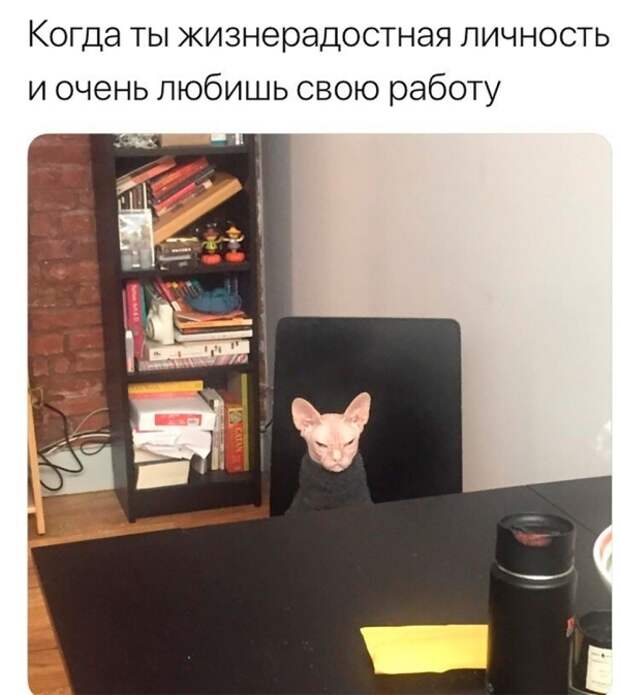 Подборка прикольных картинок