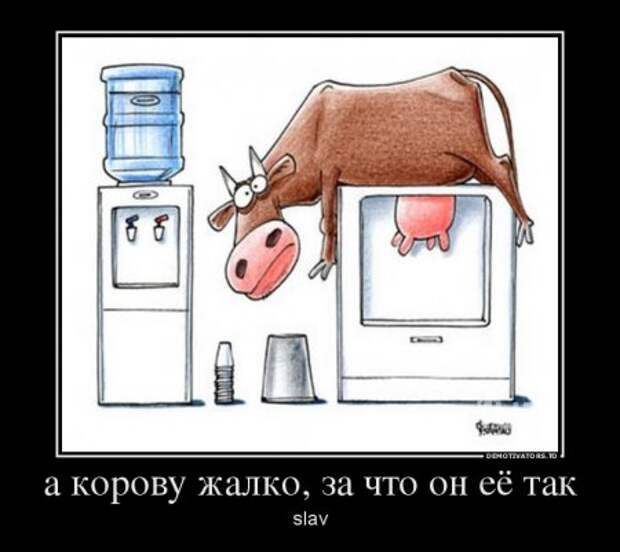 Демотиваторы они опять с нашими комментариями.