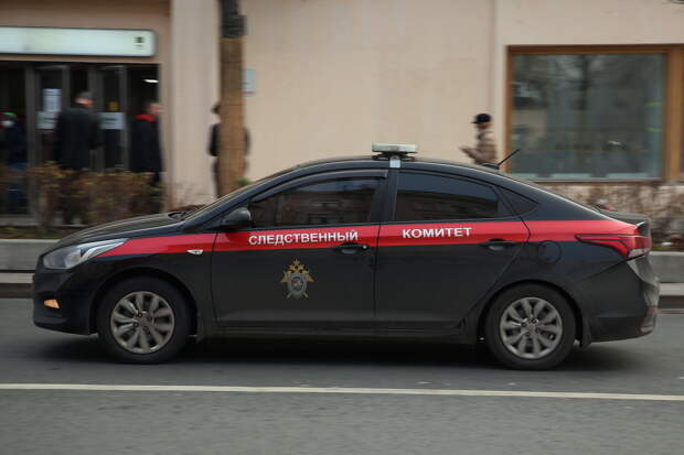 Зарезавшую свою новорожденную дочь в Подмосковье женщину задержали