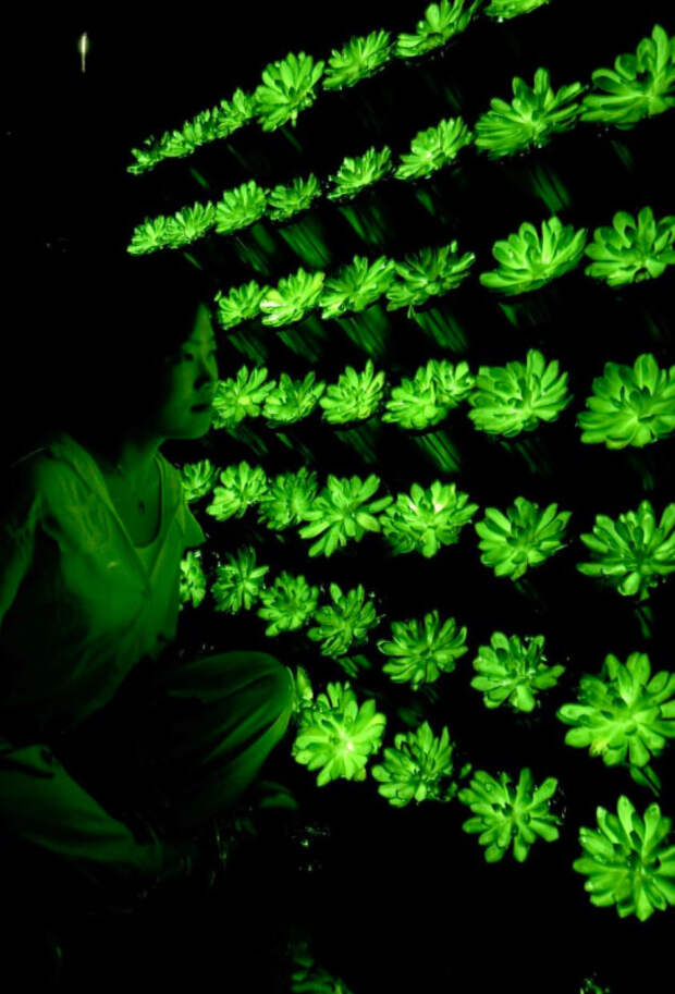 photo_2025-09-04_02-13-31