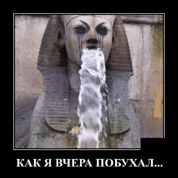 Демотиваторы (20 фото)