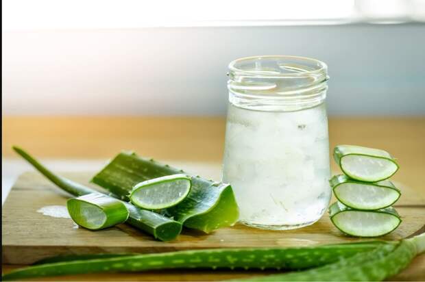 Алоэ в косметике: лучший природный multitasker для кожи и волос