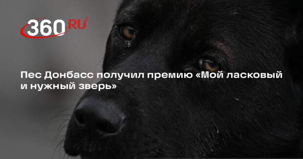 Пес Донбасс получил премию «Мой ласковый и нужный зверь»