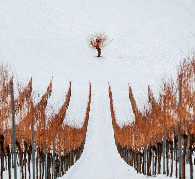best-photos-of-the-month-november-2014-artnaz-com-23