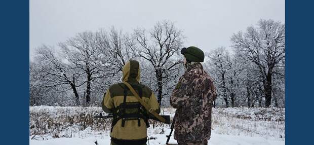ЛНР: ВСУ подвозят боеприпасы к линии соприкосновения в Донбассе