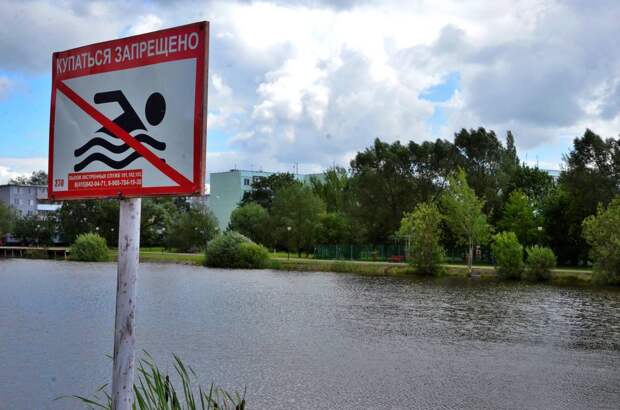 Спасатели достали тонущего мужчину в Строгине